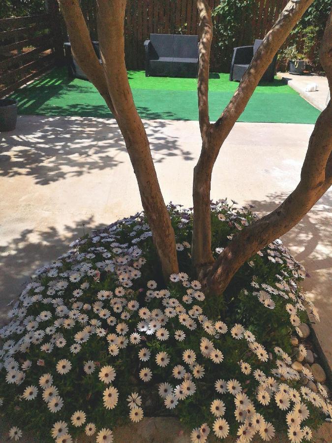 Mondello Sicily House Hotel Екстериор снимка